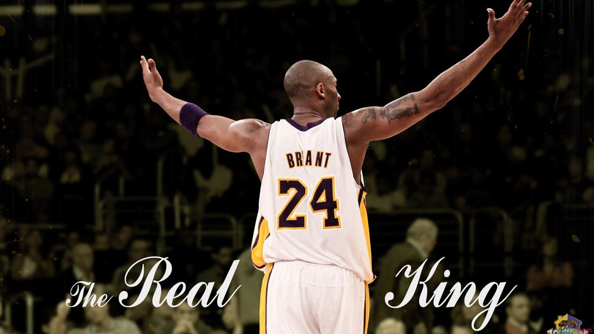 【从规则到战术】掌握比赛技巧的全攻略,比赛规程和规则有什么区别